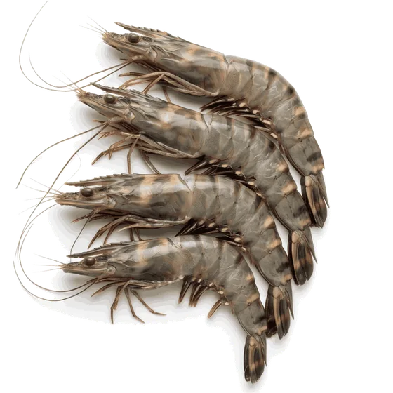 Fructe de mare și produse piscicole
